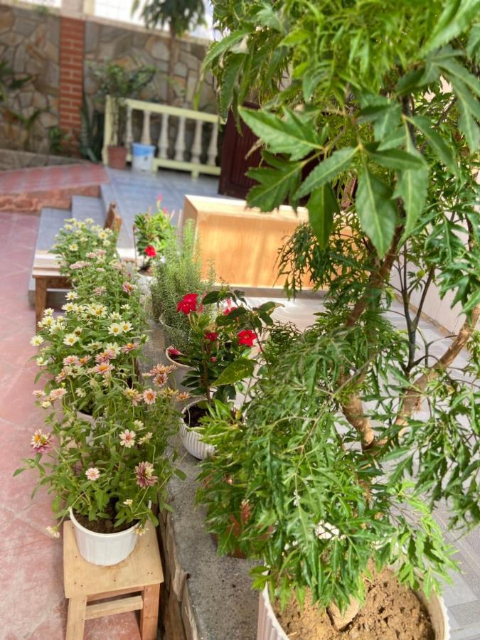 Hidden Hue Homestay Exterior foto